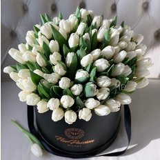 100 White Tulips FlorPassion Box