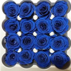 Blue Preserved Roses, 16pcs