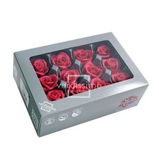 Dark Pink Preserved Mini Roses, 12pcs