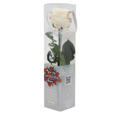 Preserved Mini Rose, Ivory